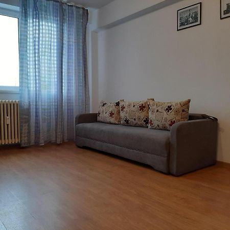 Ultracentral Apartment Bulevard Regele Mihai Nr 10, Sc A Ap 16 ティミショアラ エクステリア 写真