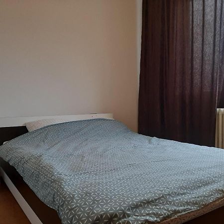 Ultracentral Apartment Bulevard Regele Mihai Nr 10, Sc A Ap 16 ティミショアラ エクステリア 写真